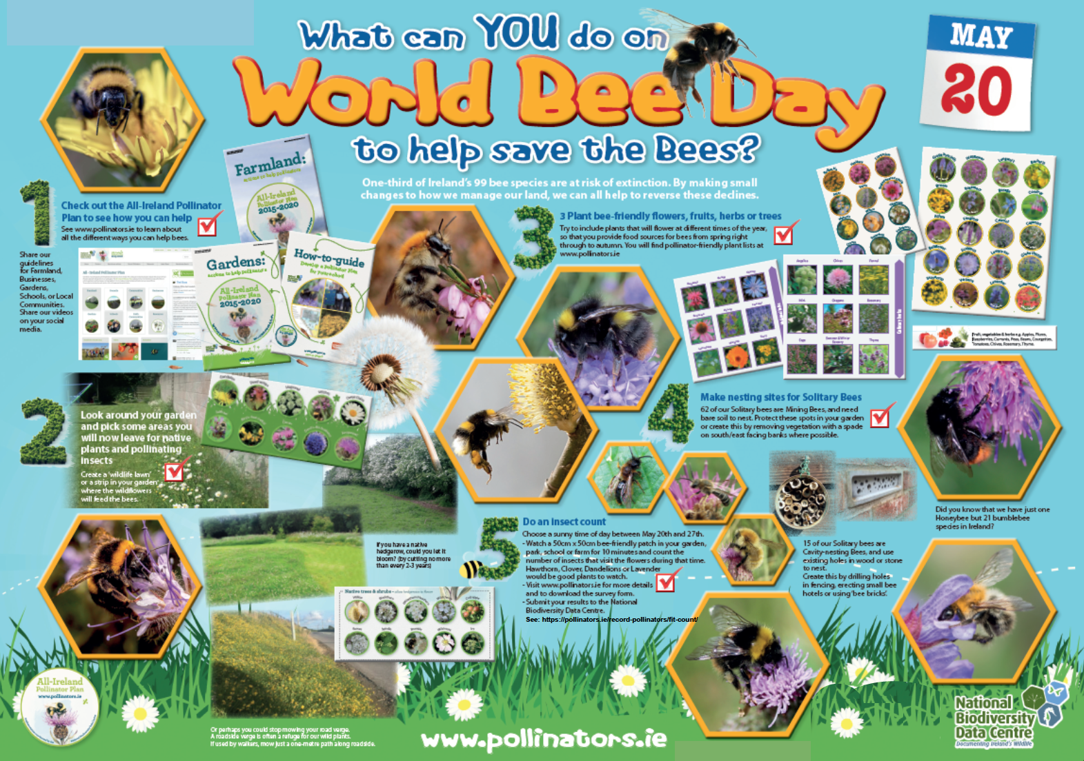 World Bee Day 21 All Ireland Pollinator Plan