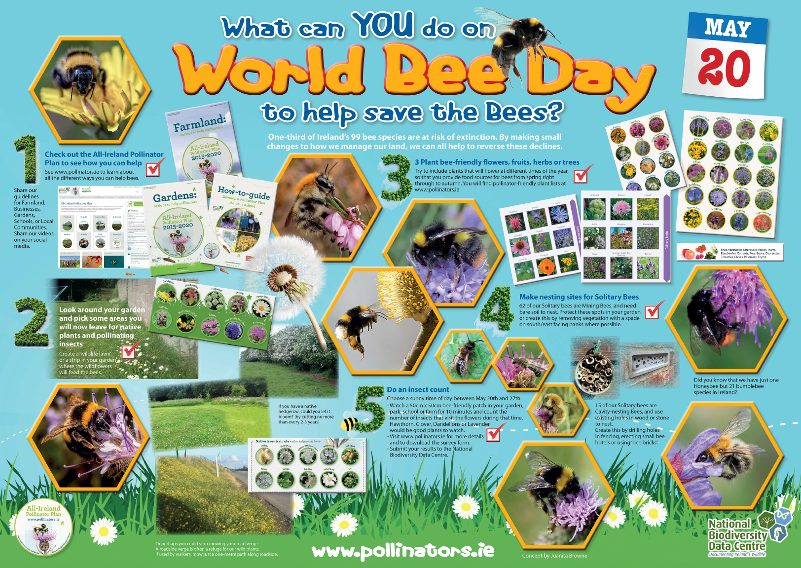 World Bee Day 22 All Ireland Pollinator Plan