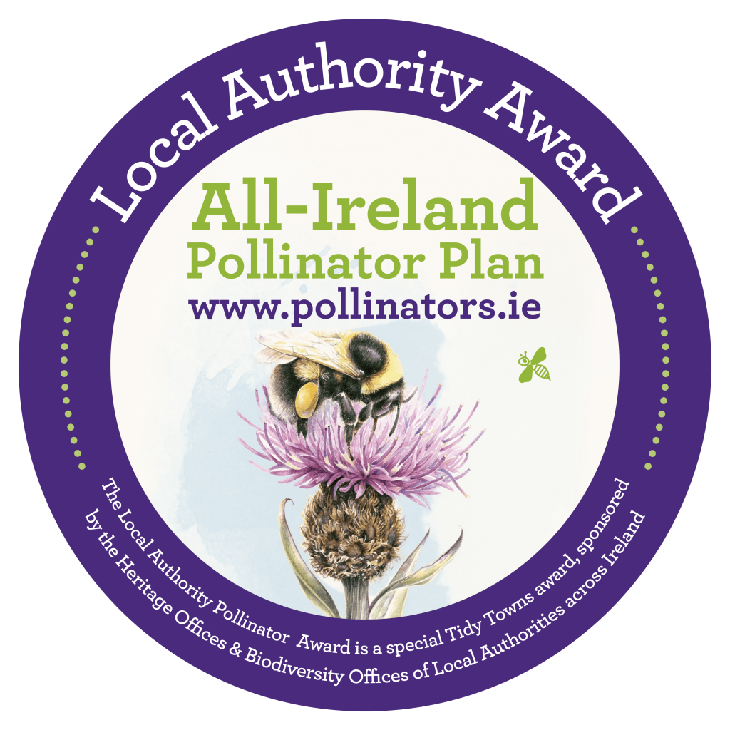 2022 Local Authority Pollinator Award » All-Ireland Pollinator Plan
