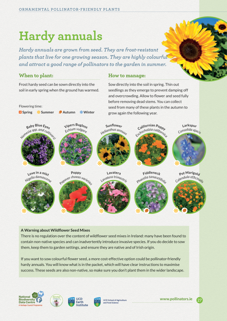 Top 10 Pollinatorfriendly Plants for Different Situations » AllIreland Pollinator Plan