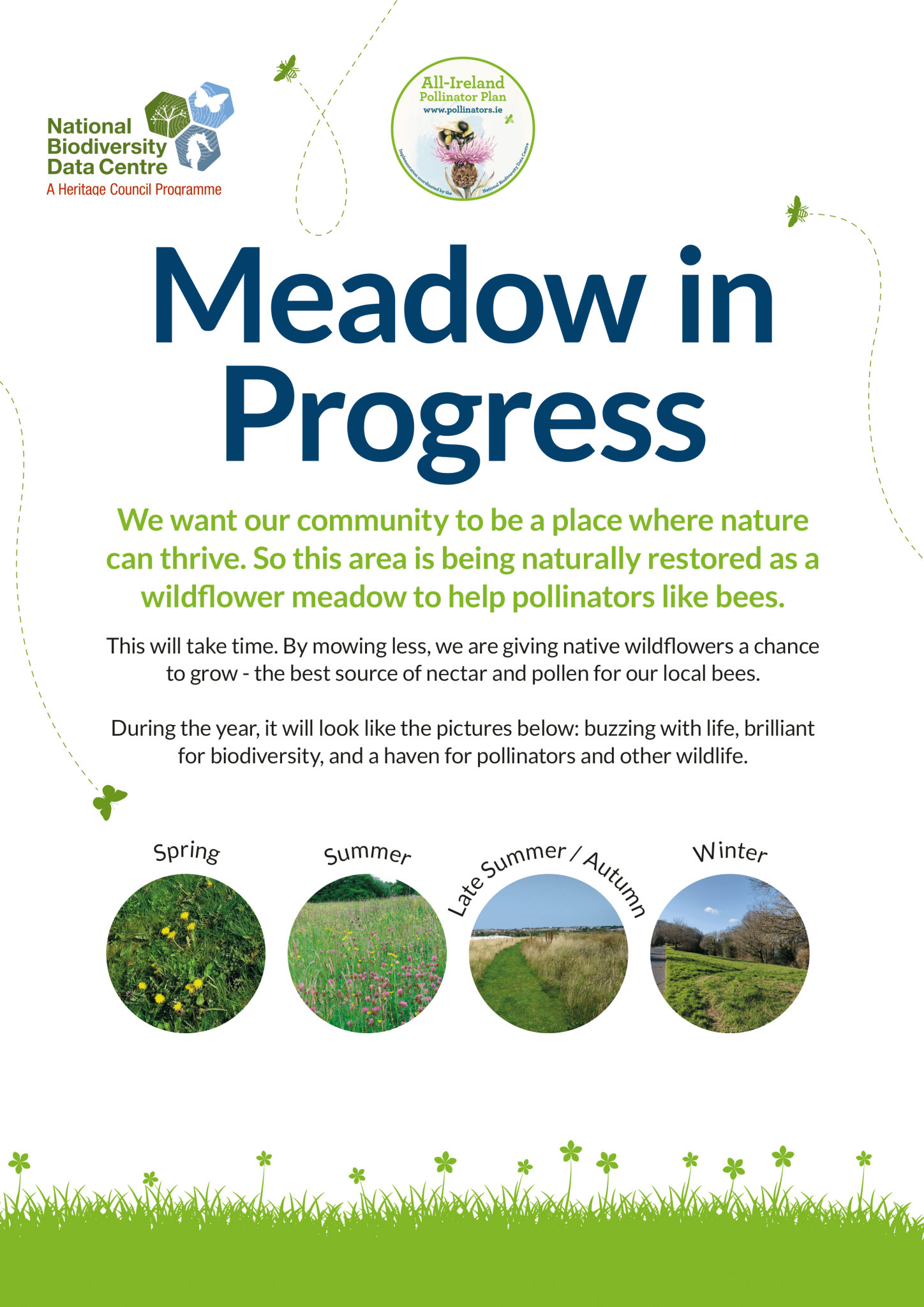 Celebrating Meadows new free resources » AllIreland Pollinator Plan