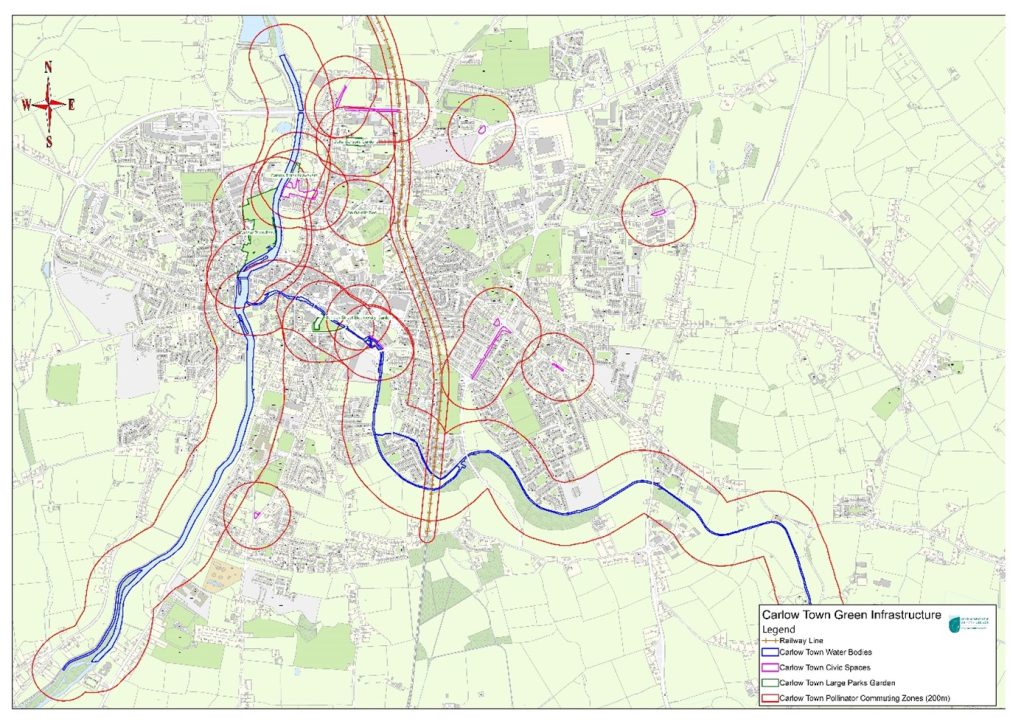 Mapping a Carlow Town Pollinator Foraging Network » All-Ireland