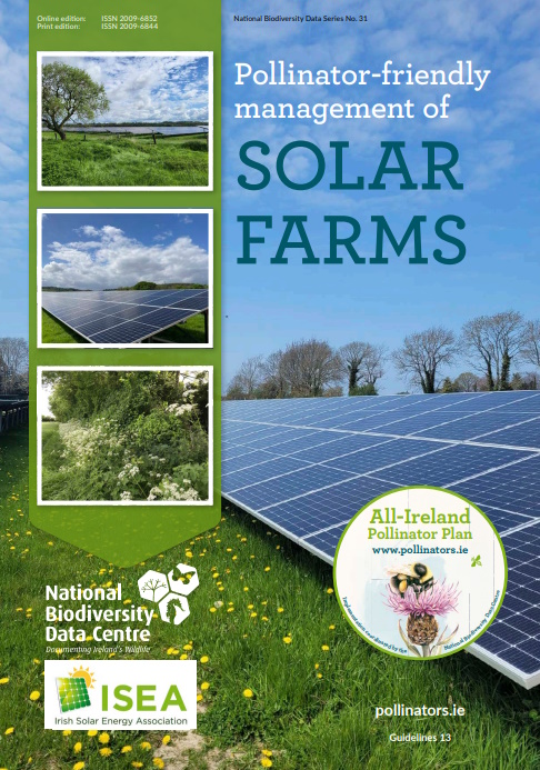 New Guideline Pollinator Friendly Management Of Solar Farms All Ireland Pollinator Plan 5877