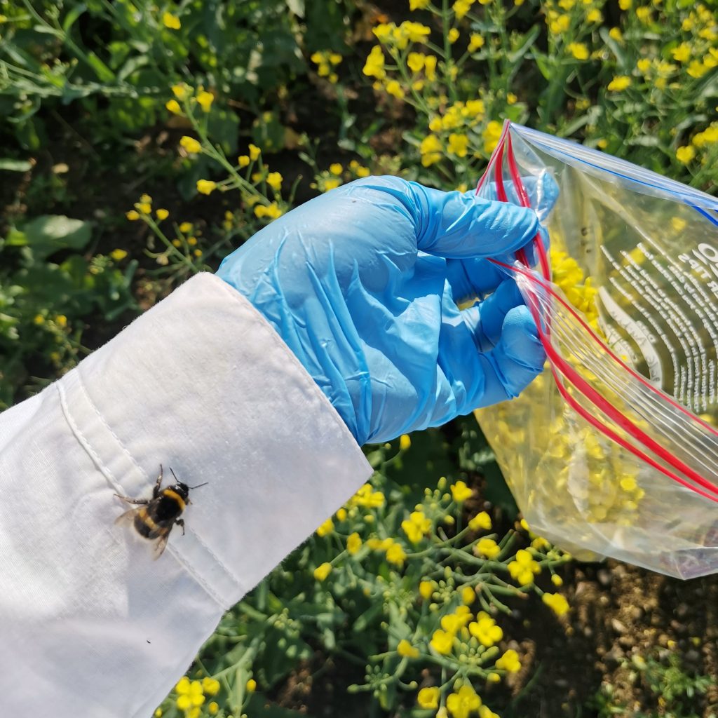 New Pollinator Research in 2023 » All-Ireland Pollinator Plan