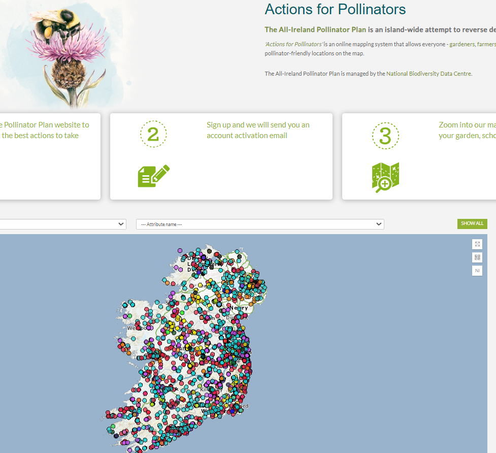Pollinators Plan Sign-up for business » All-Ireland Pollinator Plan