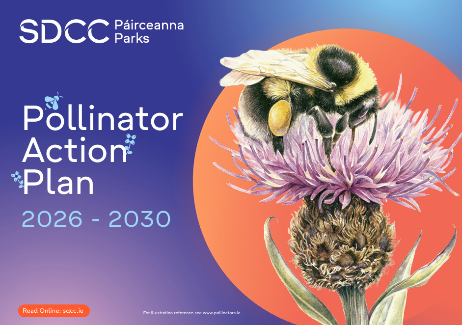 Pollinators Plan New Pollinator Plan for South Dublin » All-Ireland Pollinator Plan